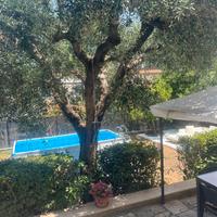 Piscina bestway