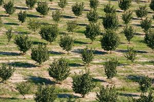 Nocciole e Residenze