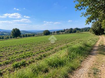 TER. AGRICOLO A BURAGO DI MOLGORA