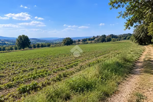 TER. AGRICOLO A BURAGO DI MOLGORA