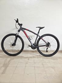 Mountain bike Ducati 310 SX 29"