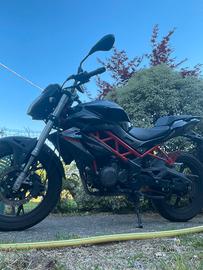 Benelli bn 125