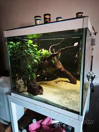 acquario 130 litri completo