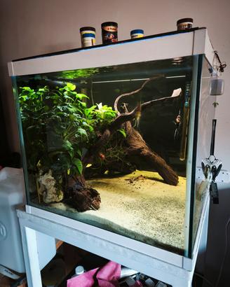 acquario 130 litri completo