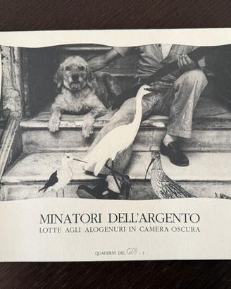 Minatori dell’argento – Lotte agli alogenuri