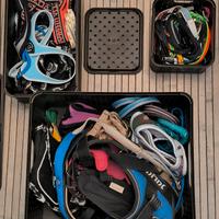 Guinzaglieria Chihuahua e Cavalier King