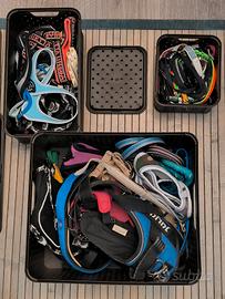 Guinzaglieria Chihuahua e Cavalier King