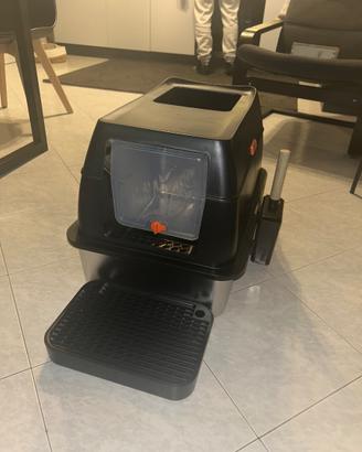 LETTIERA GATTO NUOVA