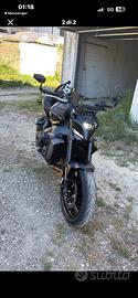 MT 09 2026