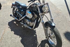 harley davidson sportster 883 custom Bobber