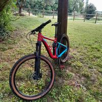 bici da enduro
