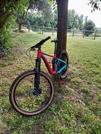 bici da enduro