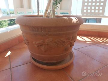 Vasi e piante grasse ,alzatine, composizioni