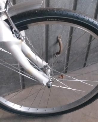 bicicletta