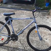 bici MTB esperia