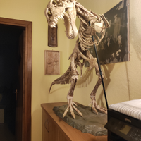 Trex tirannosauro DeAgostini dinosauro