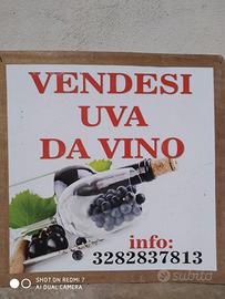 uva da vino bianca e nera