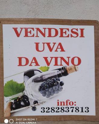 uva da vino bianca e nera