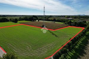 TER. AGRICOLO A SANDRIGO