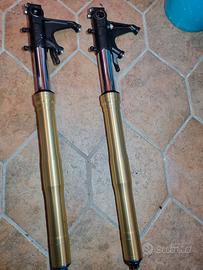 Forcella cbr 600 rr 06