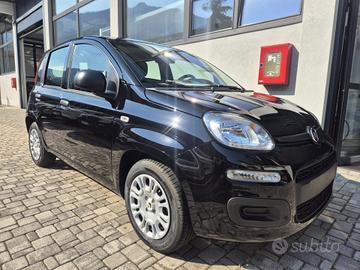 Fiat Panda Pandina 1.0 FireFly 70 CV Hybrid Pop
