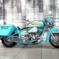 Harley Davidson Softail Custom 1340 FXSTC