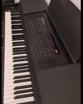 piano arranger digitale  gem ws400