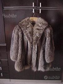 Pelliccia marmotta pellicceria maria di maio rara