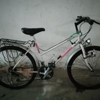 Montainbike