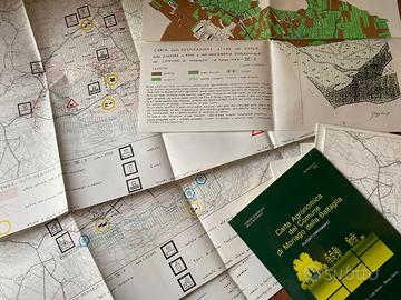 Carta agronomica del Comune Moriago Battaglia - TV