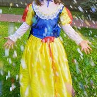 Vestito di carnevale