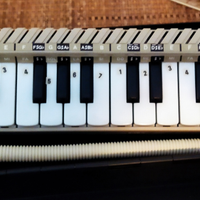 Due Diamoniche Bontempi