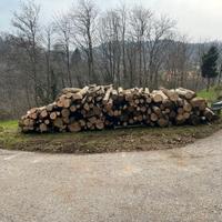 legna da ardere 