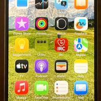 Iphone 12 Pro Max 256 Gb come nuovo (Sbloccato)