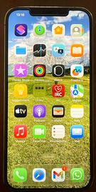Iphone 12 Pro Max 256 Gb come nuovo (Sbloccato)