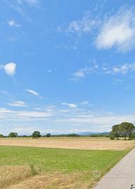 Terreno agricolo a Rupa