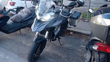  MOTO QJ SRT 800 