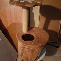 cuccia per gatto