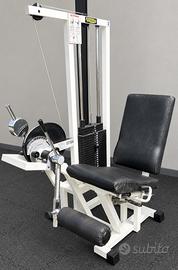 Leg Extension Rehab Technogym Lux