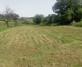 Terreno agricolo di mq 13000 Grottaferrata