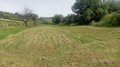 Terreno agricolo di mq 13000 Grottaferrata