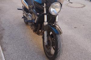 Hornet 600