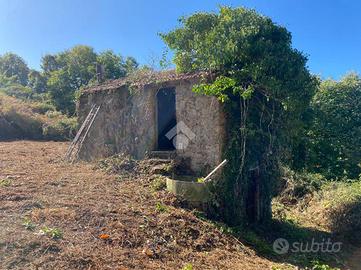 RUSTICO A PALESTRINA