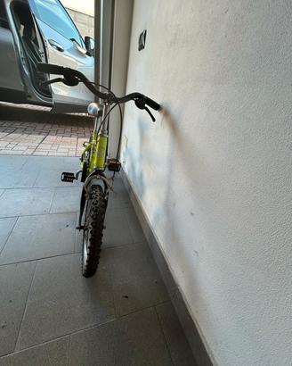 bicicletta da bambina/o