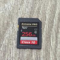 Sandisk 256 gb