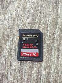 Sandisk 256 gb
