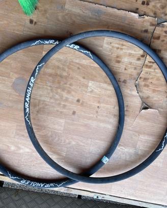 Cerchi mtb