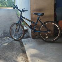 Bici da bambino con cambio Shimano 20”