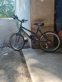 Bici da bambino con cambio Shimano 20”