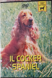 Dvd cocker spaniel inglese